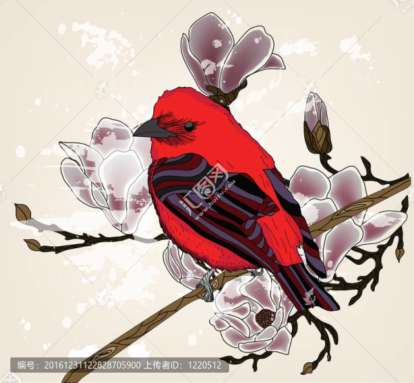 美麗的畫面與紅腹灰雀