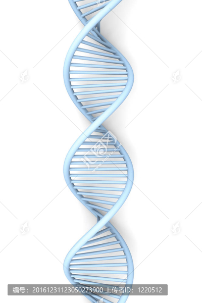 DNA鏈