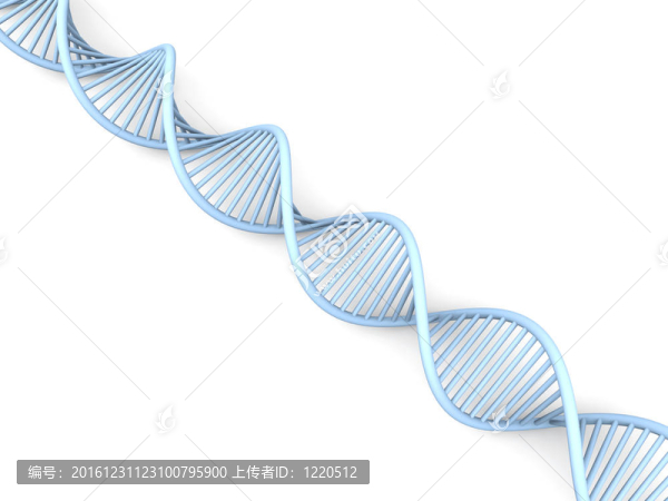 DNA鏈