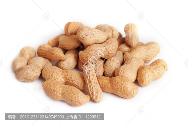 樁花生