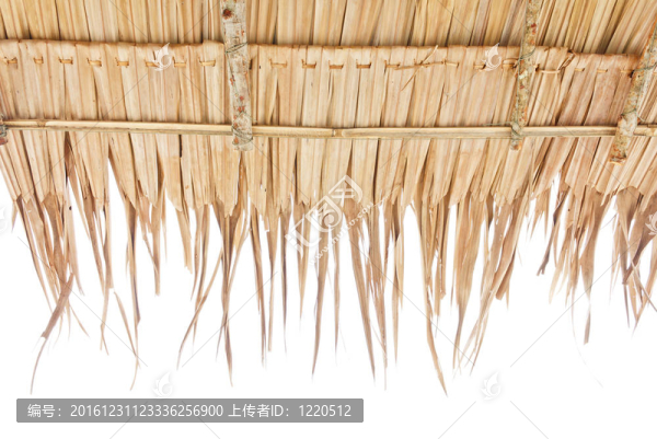 干草屋頂