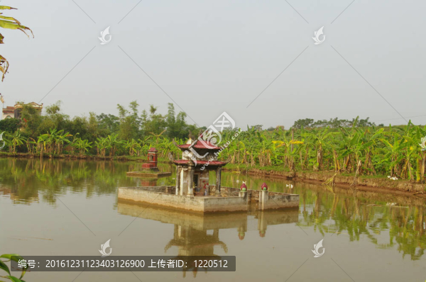 池塘正中的墳?zāi)? title=