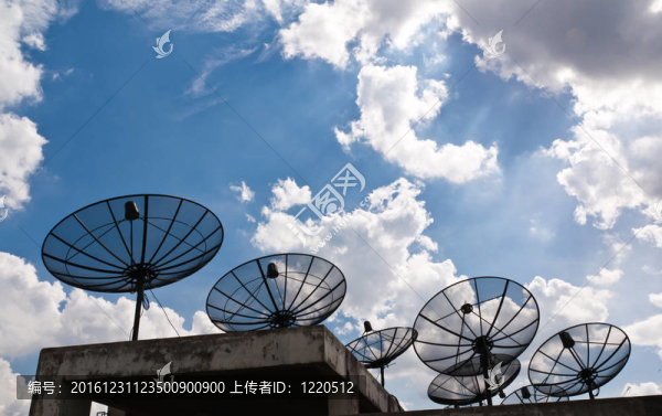 衛(wèi)星菜是幾個黑色
