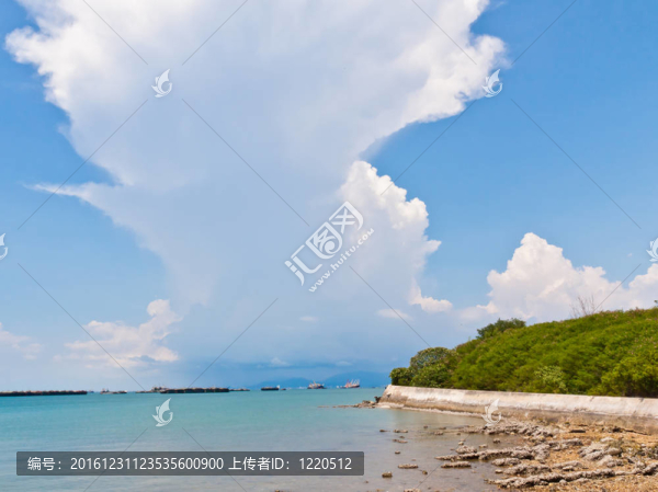 熱帶海洋