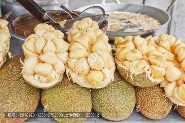 菠蘿菠蘿蜜屬