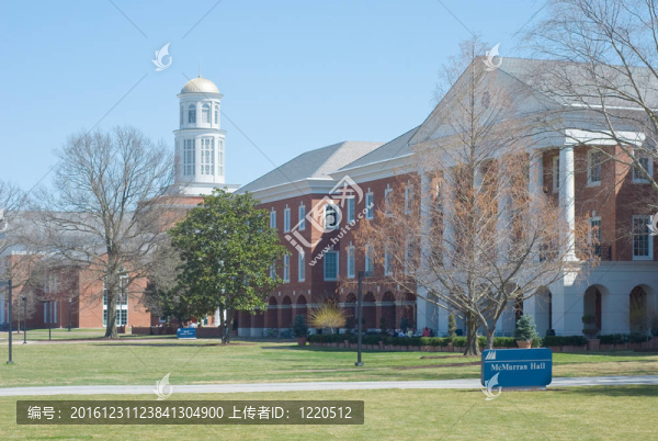 美國的大學