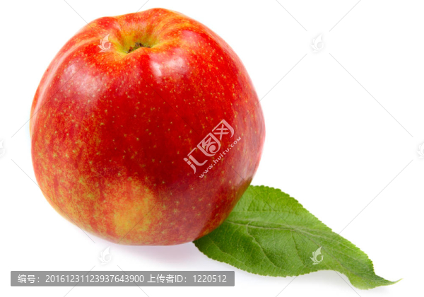 紅蘋果葉