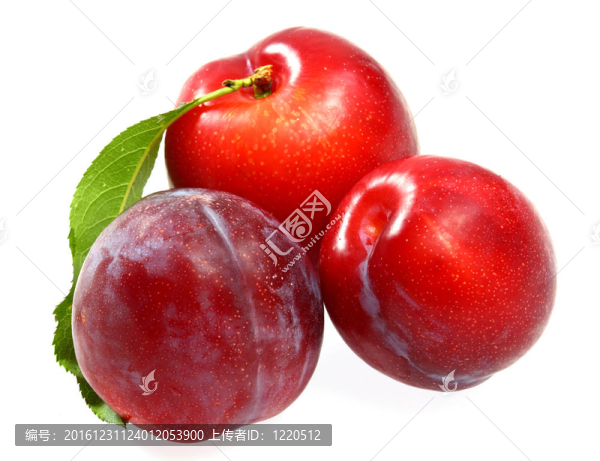 新鮮的經(jīng)歷