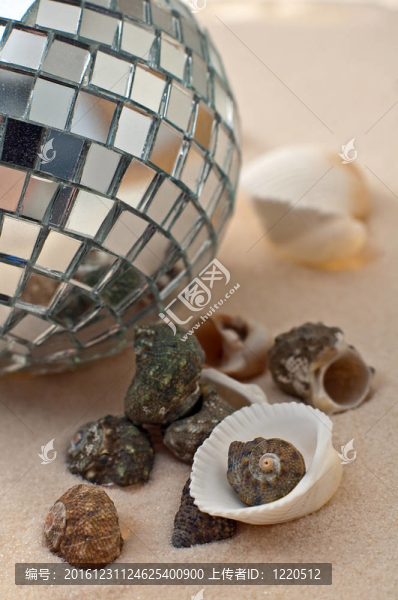 海灘慶祝