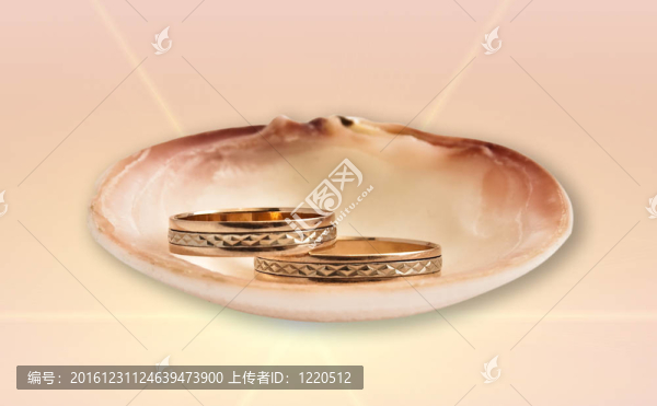 貝殼中的結(jié)婚戒指