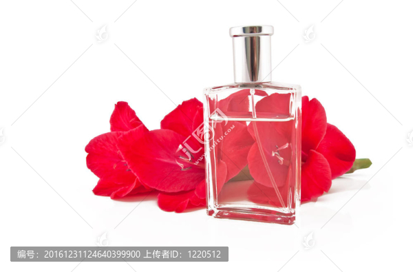 美麗的鮮花和瓶子的分支在白色背景的精神