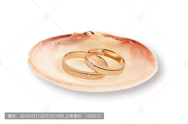貝殼中的結(jié)婚戒指