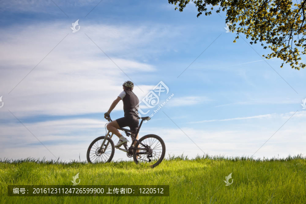 在田野上騎自行車的人