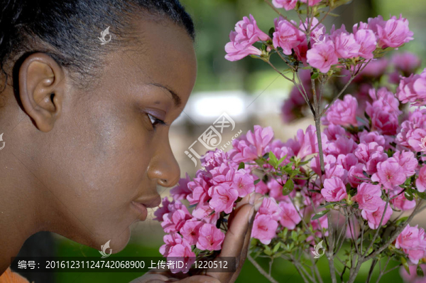 芳香的花朵