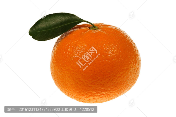 Tangerine夜店特寫