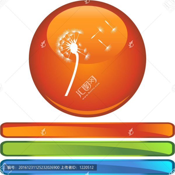 蒲公英