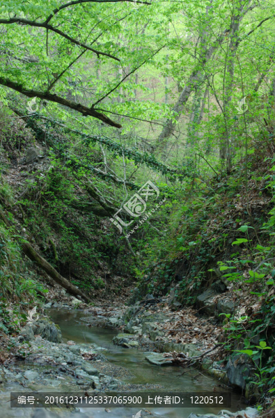 高加索山脈峽谷