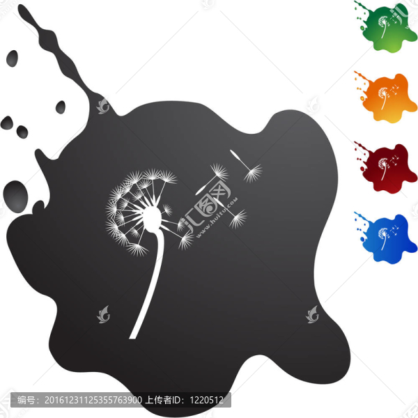蒲公英
