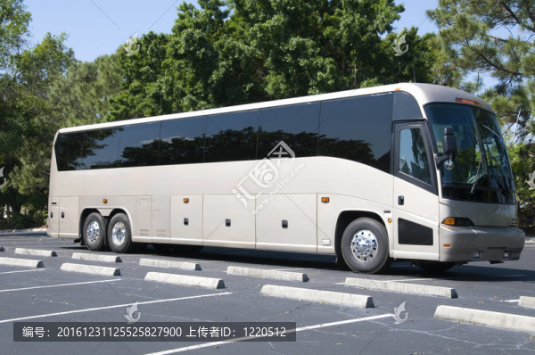 新的公共汽車