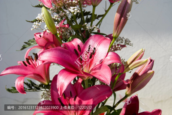 粉紅百合花束