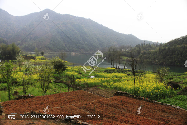 在中國(guó)農(nóng)村