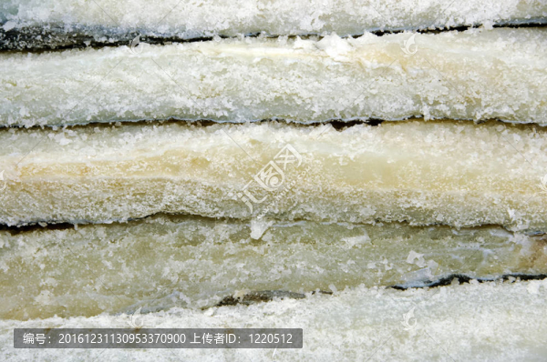 咸鱈魚