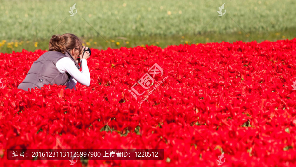 女孩畫花朵圖片