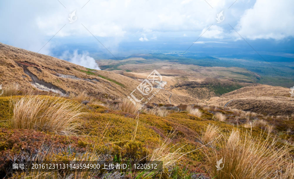 Volcanic景觀