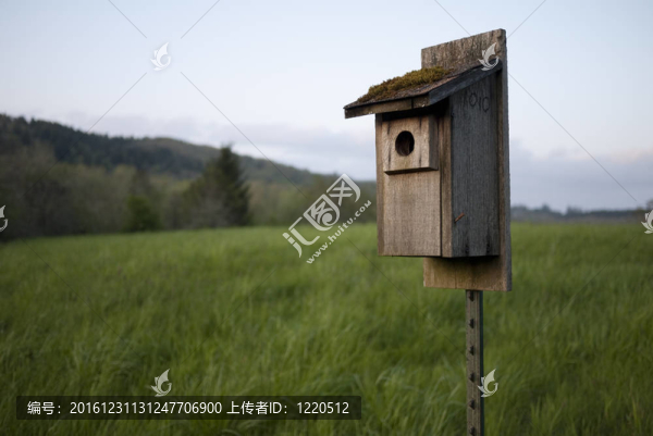 藍(lán)鳥(niǎo)鳥(niǎo)舍
