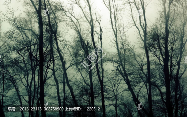 abandomned