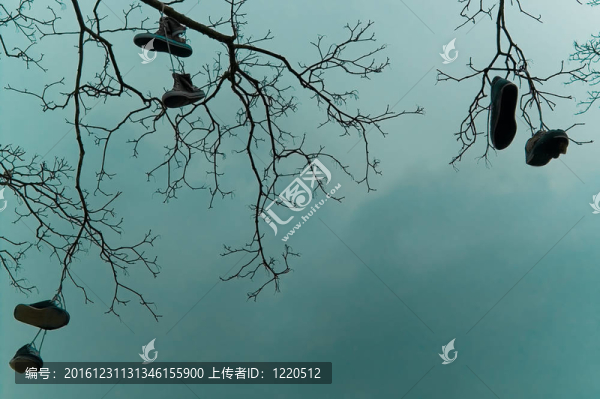 鞋楦