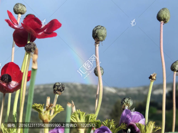 彩色西班牙。彩虹