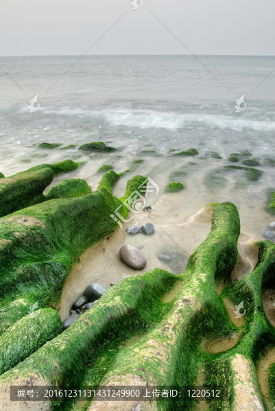 綠色海岸景觀