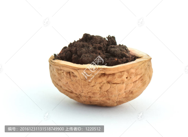 土壤的小船