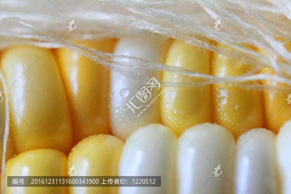 甜玉米與絲綢：極端接近