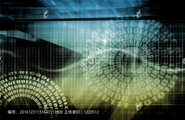 數(shù)據(jù)網(wǎng)絡(luò)