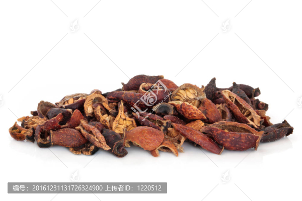 金櫻子