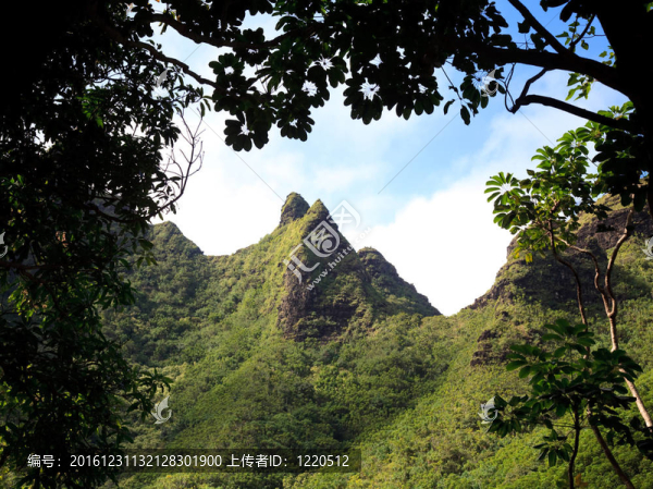 納巴山
