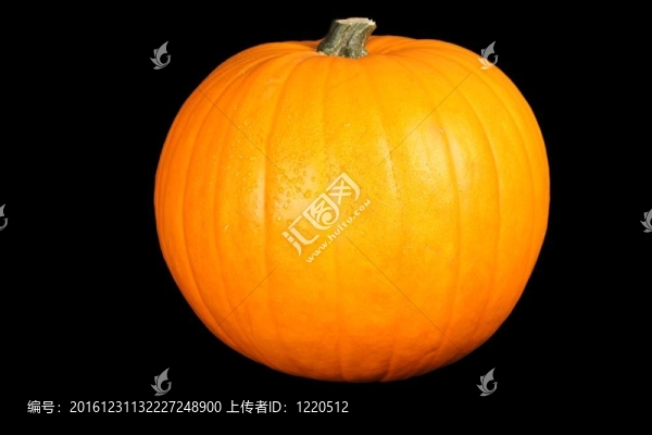 黑背景南瓜