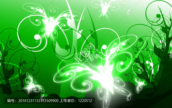 蝴蝶