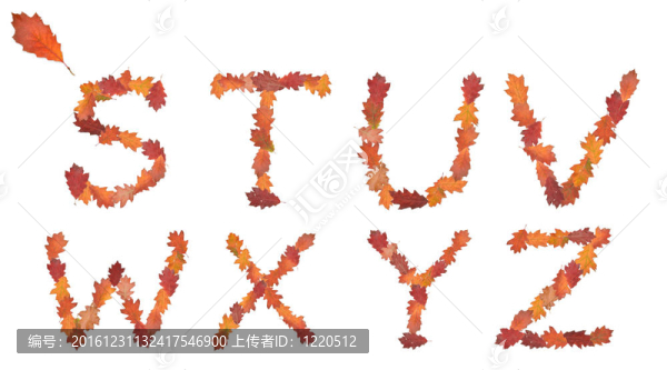字母表