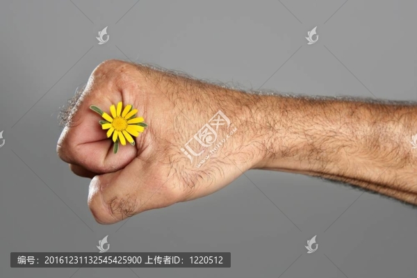 毛人手花的概念與對比