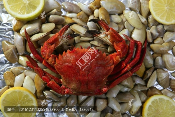 獅子在岸青蟹蛤