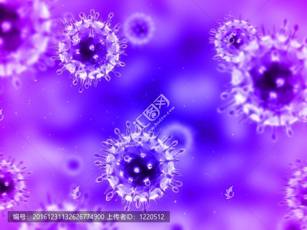 甲型H1N1流感病毒
