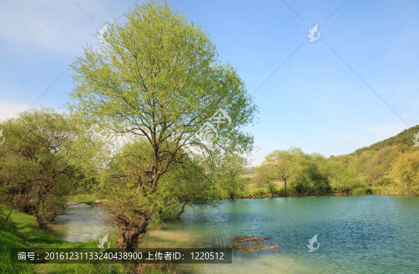 美麗的春天湖