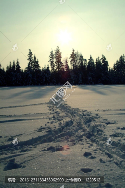 越野滑雪道