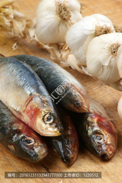 在一個(gè)木板的新鮮有機(jī)沙丁魚