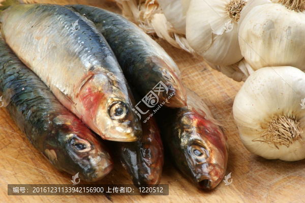 在一個木板的新鮮有機沙丁魚