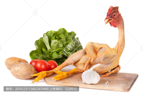 雞肉和蔬菜