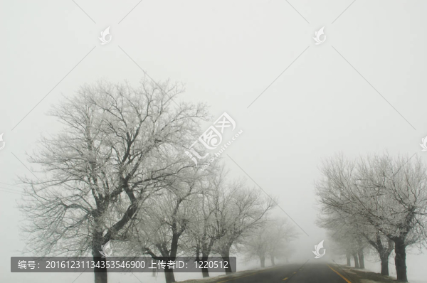 霧蒙蒙的路